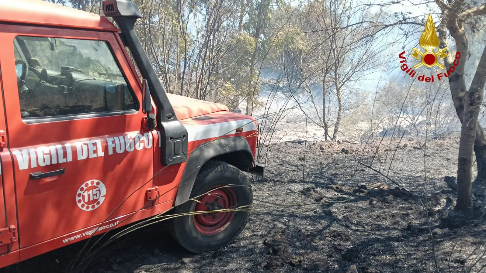 Vasto incendio a Orosei minaccia case e residence