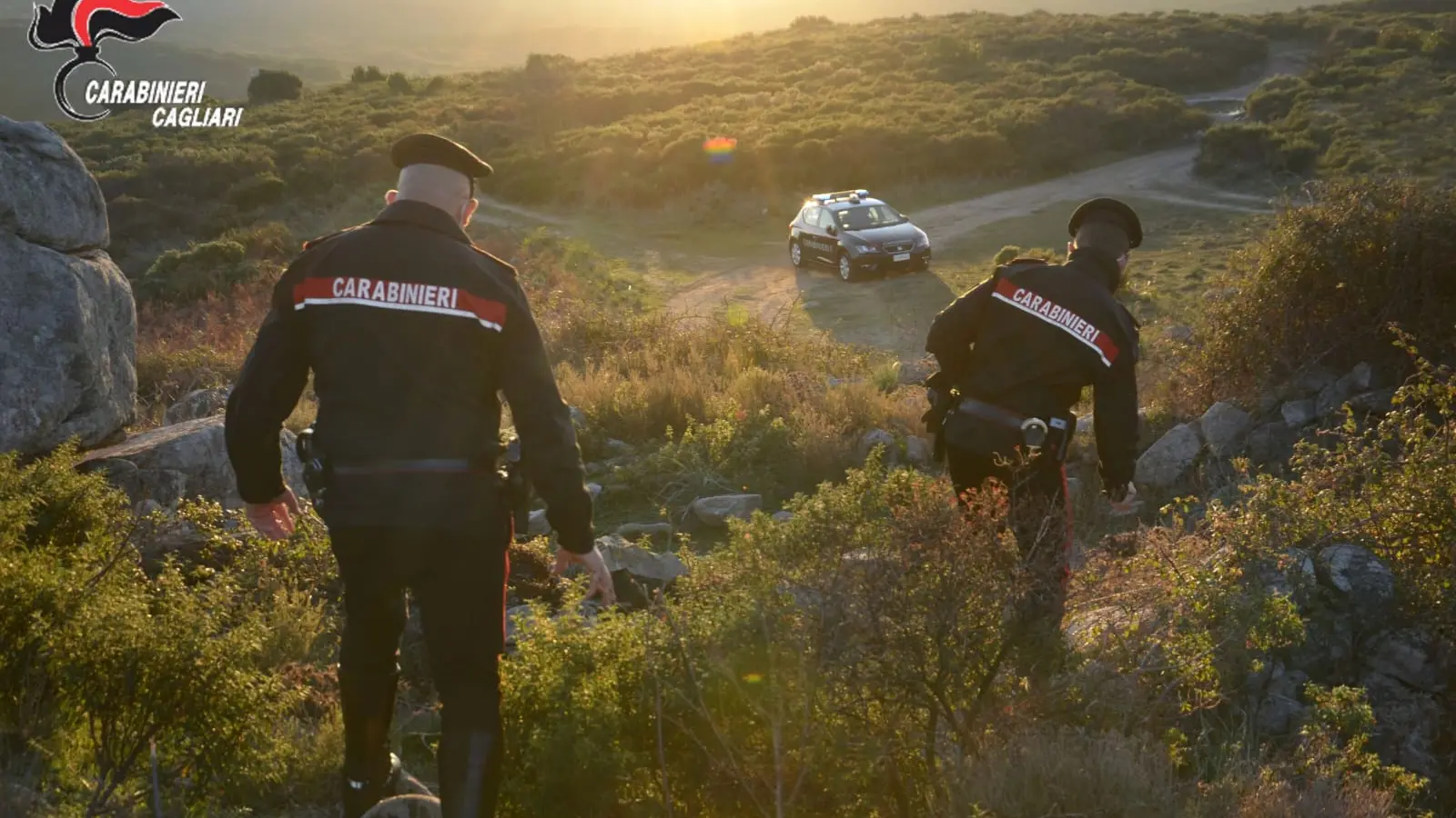 Caccia illegale ad Arbus: denunciati due uomini per bracconaggio