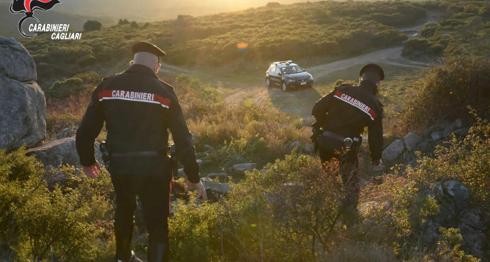 Caccia illegale ad Arbus: denunciati due uomini per bracconaggio