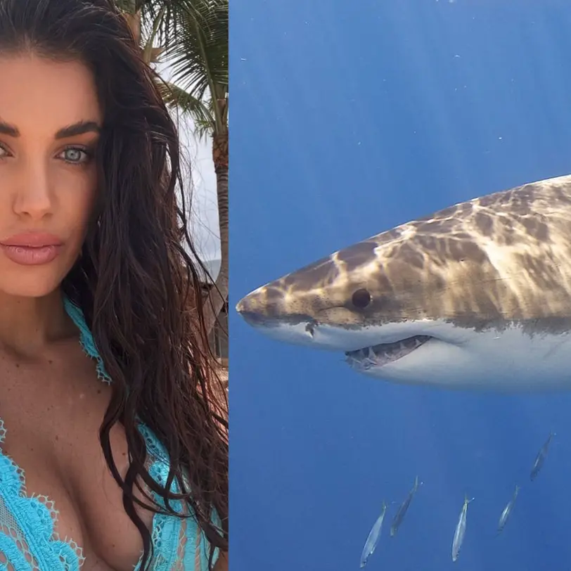 Shock a Porto Rico. Eleonora Boi, incinta, aggredita da uno squalo