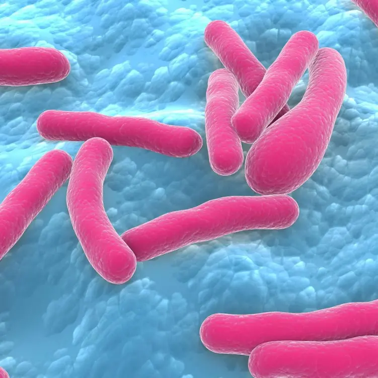 Botulino alla Fiesta Latina, sospesa la sagra e avviate le indagini epidemiologiche