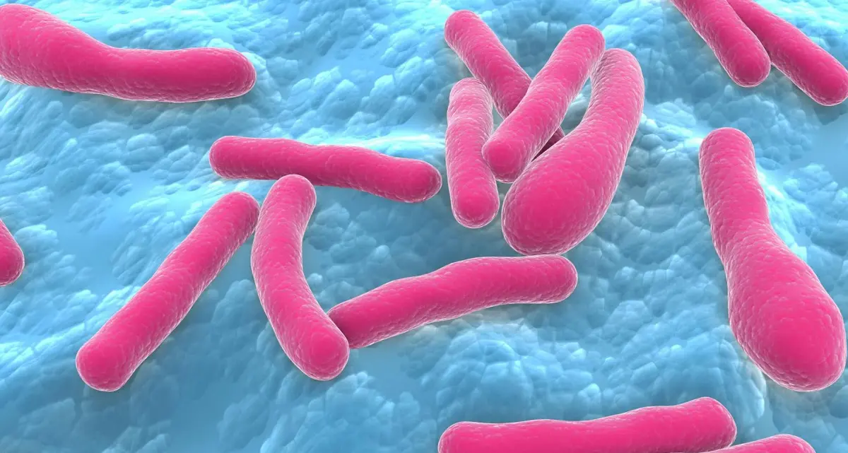 Botulino alla Fiesta Latina, sospesa la sagra e avviate le indagini epidemiologiche