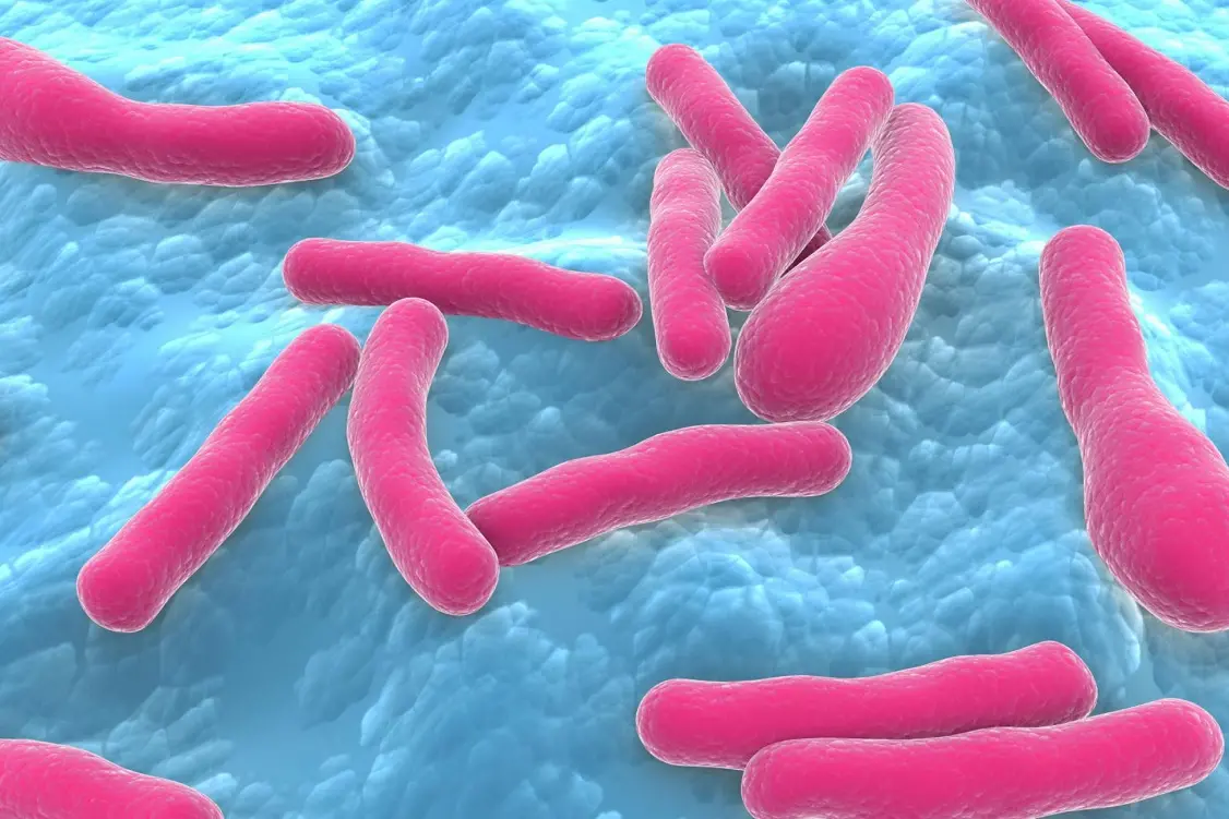 <p>Biomedical illustration of Clostridium botulinum bacteria.</p>\\n