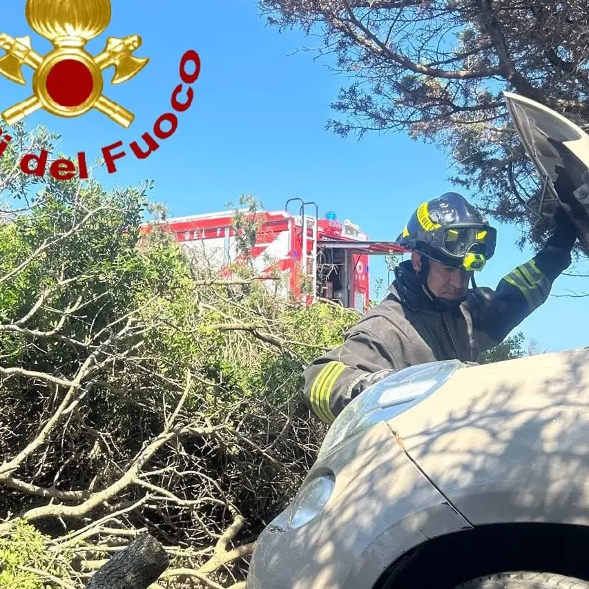 Auto finisce fuori strada tra gli alberi sulla Provinciale 34: due feriti