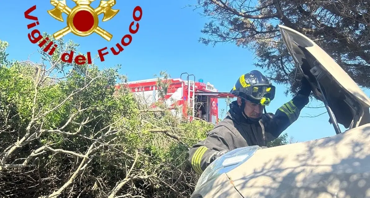 Auto finisce fuori strada tra gli alberi sulla Provinciale 34: due feriti