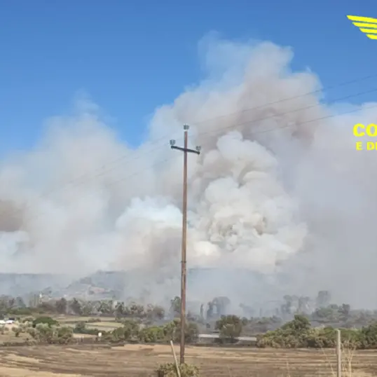 Nove roghi con mezzi aerei: 20 incendi in un solo giorno in Sardegna