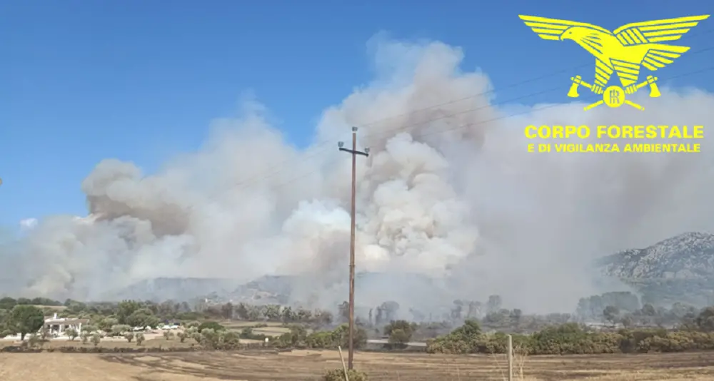 Nove roghi con mezzi aerei: 20 incendi in un solo giorno in Sardegna