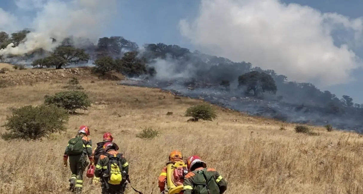Ancora incendi in Sardegna: elicotteri in azione a Bari Sardo e Santadi