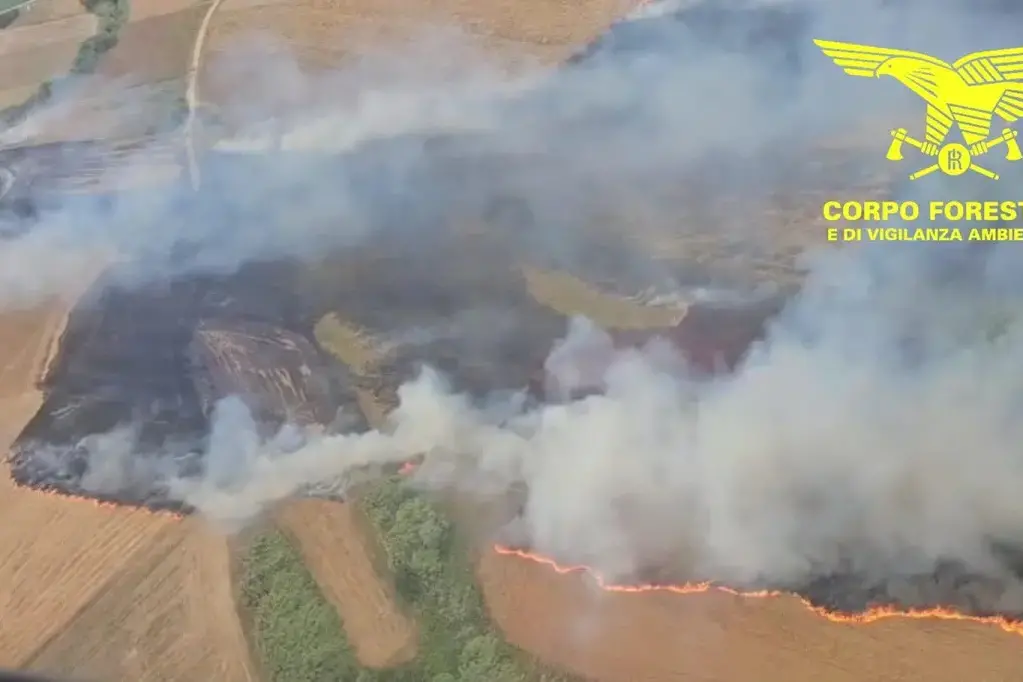Sospetto piromane seriale arrestato a Bonorva: accusato di almeno 7 incendi