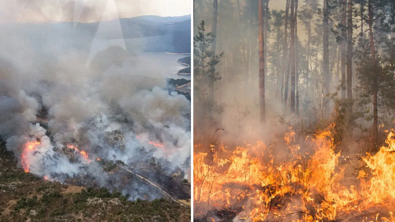 Pericolo incendi in Sardegna: per il 14 agosto scatta l’attenzione rinforzata in diverse zone dell’Isola