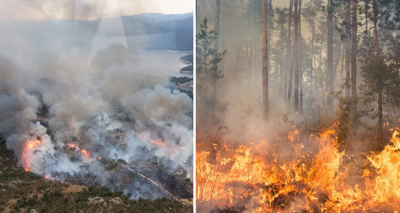 Pericolo incendi in Sardegna: per il 14 agosto scatta l’attenzione rinforzata in diverse zone dell’Isola