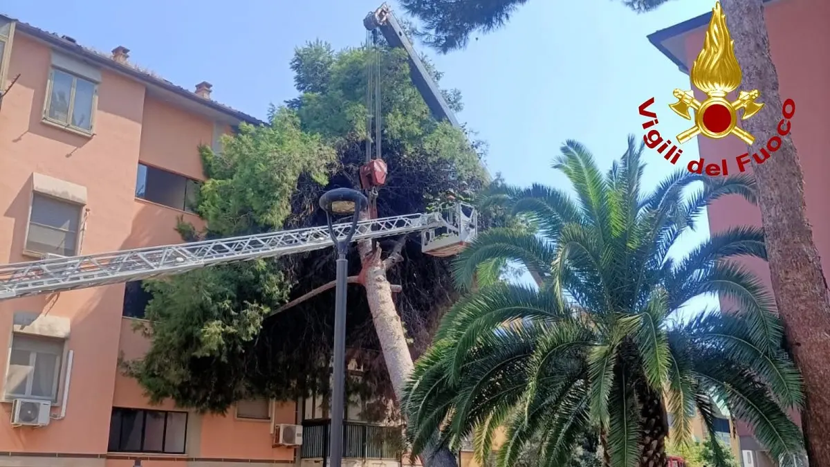 Emergenza ad Assemini: albero su palazzina, Vigili del Fuoco in azione