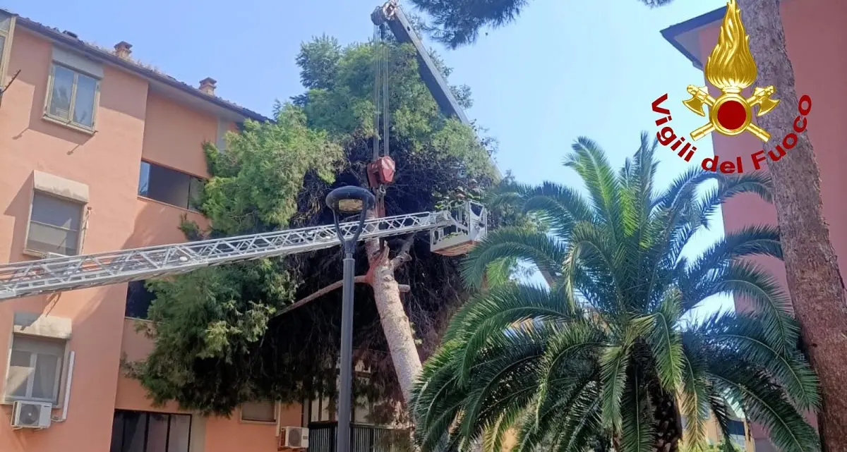 Emergenza ad Assemini: albero su palazzina, Vigili del Fuoco in azione