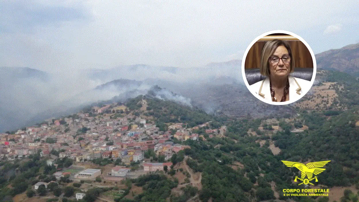 Vasto incendio a Seulo, l’assessora Laconi: “Tolleranza zero per chi appicca roghi”