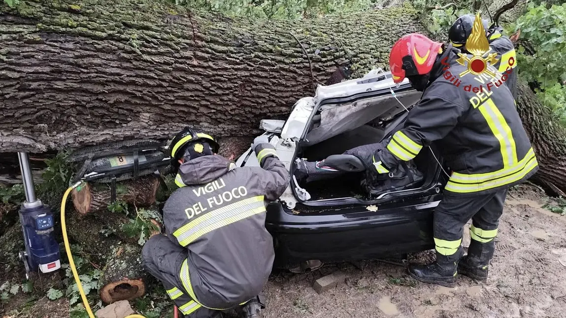 Fulmine abbatte quercia su un'auto, muore un 29enne: Ferragosto tragico a Ferrandina