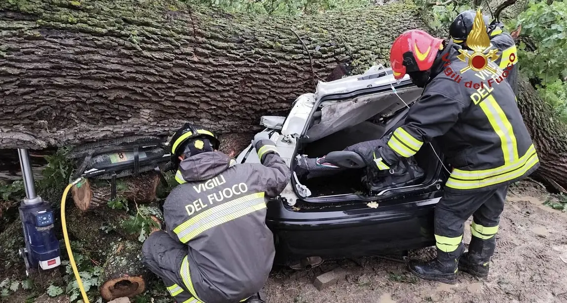 Fulmine abbatte quercia su un'auto, muore un 29enne: Ferragosto tragico a Ferrandina