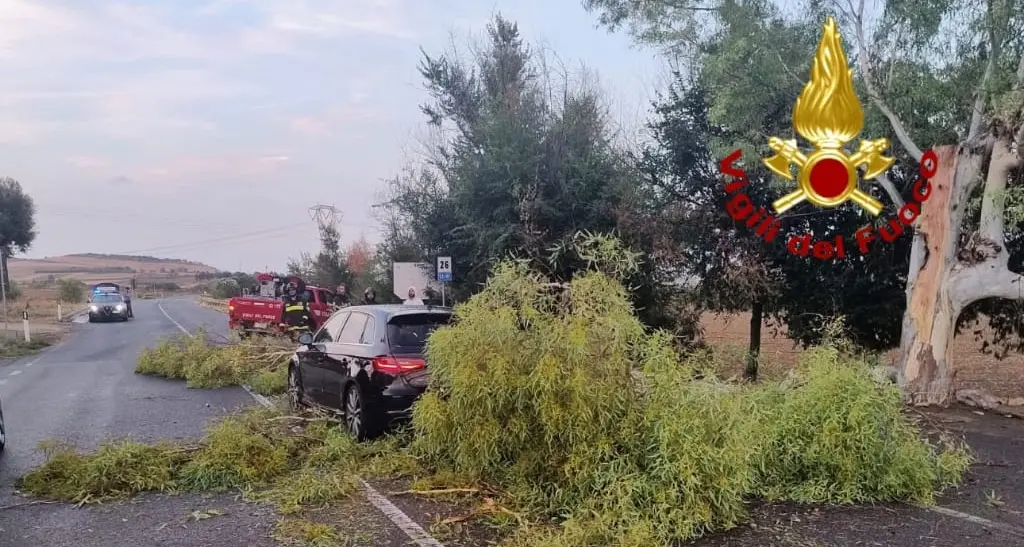 Grosso ramo si abbatte su un’auto in transito sulla Statale 197 tra Villasanta e Furtei