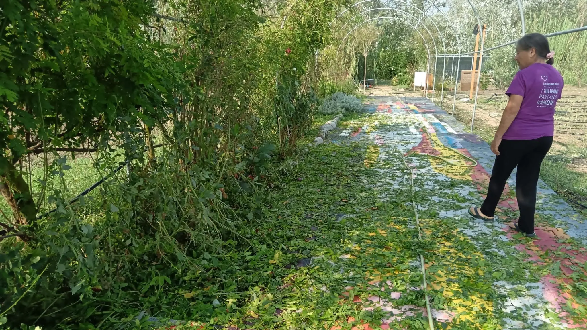 Pimentel, il Giardino di Lu distrutto dalla grandine
