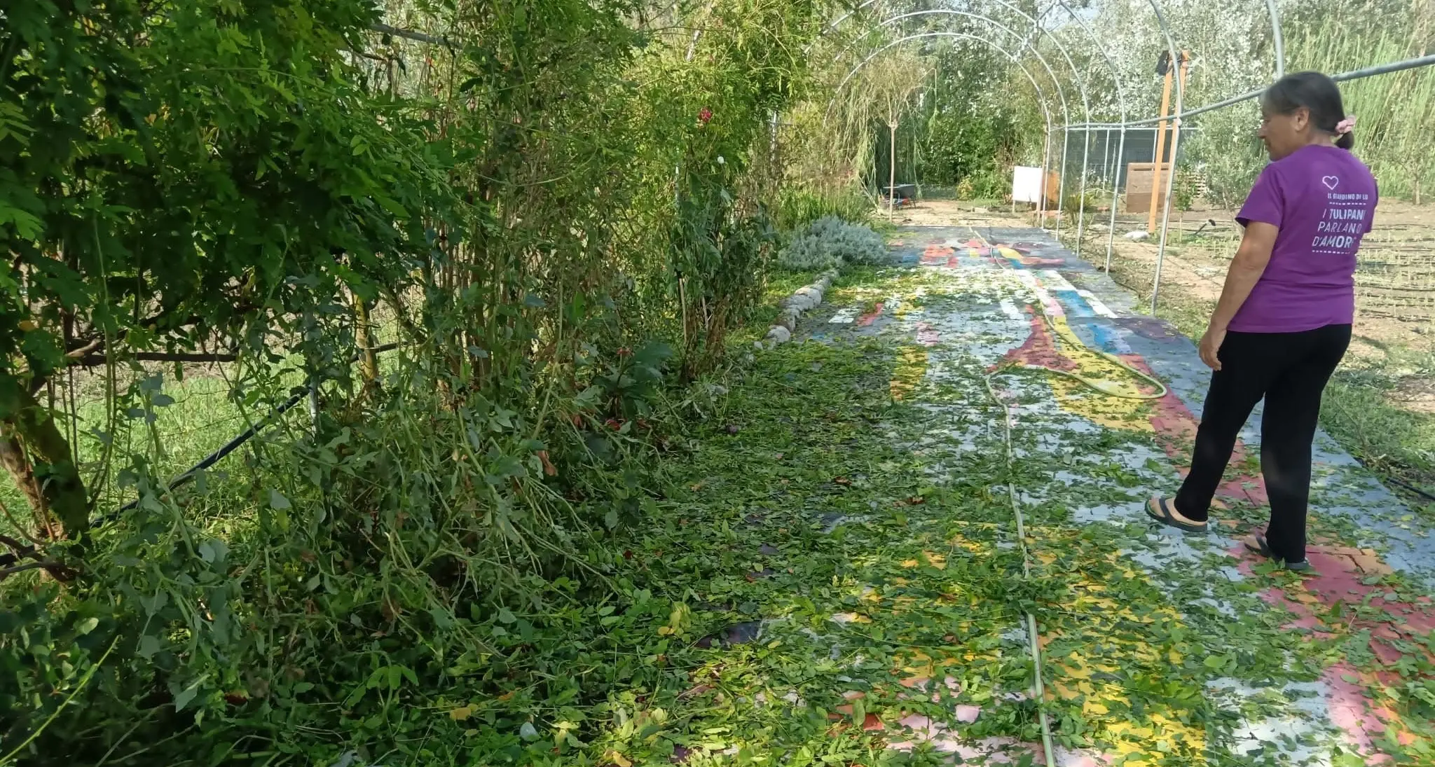 Pimentel, il Giardino di Lu distrutto dalla grandine
