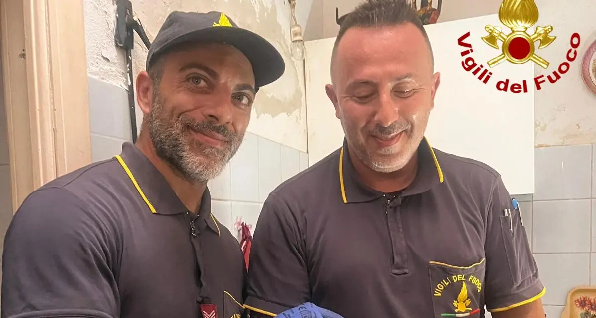 Gattino salvato dai Vigili del fuoco: intervento tempestivo a Ittiri