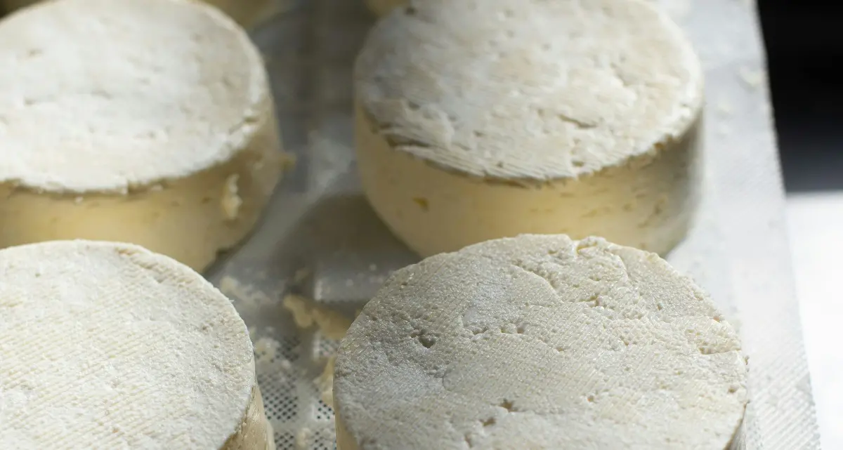 Bimbo di un anno ricoverato a Padova per formaggio contaminato