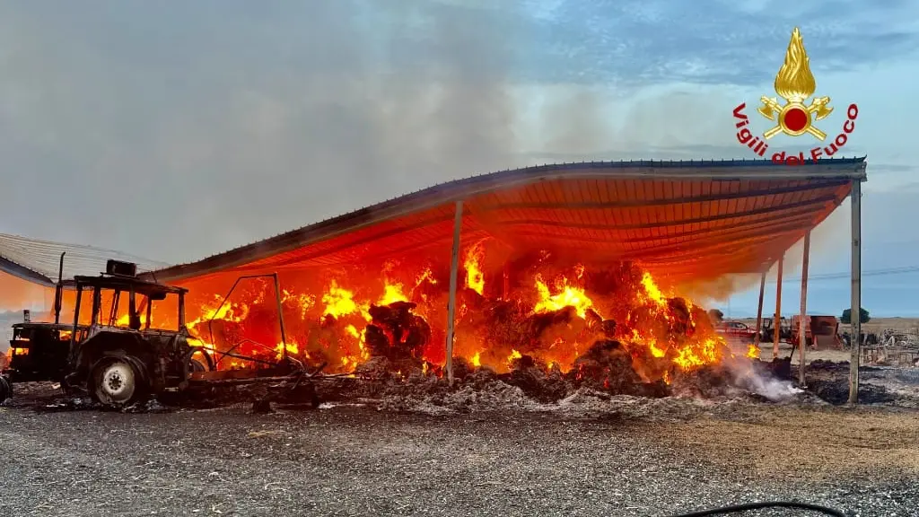 Incendio devasta azienda agricola vicino a Monastir: danni ingenti