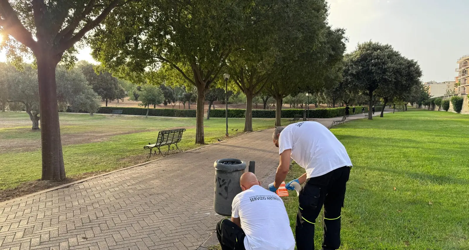 Emergenza ratti a Monteclaro: avviata derattizzazione d'urgenza nel parco di Cagliari