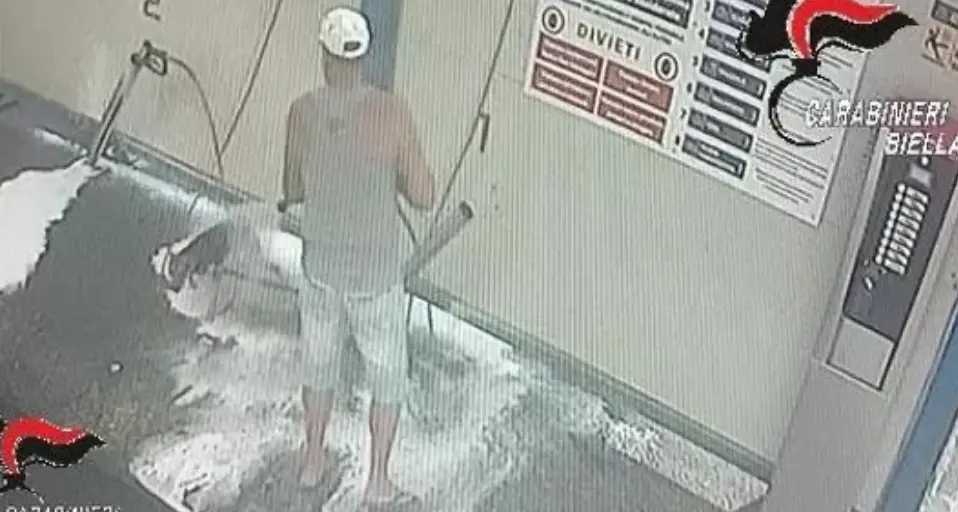Cane insaponato all'autolavaggio: denunciato un 57enne per maltrattamenti a Biella