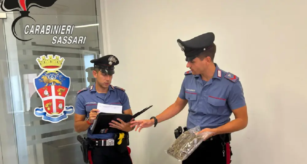 Carabinieri sequestrano marijuana e arrestano un uomo per spaccio a Valledoria
