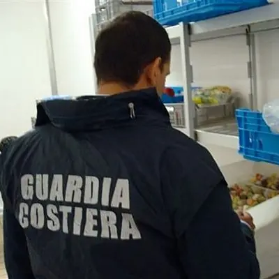 Blitz contro pesca illegale nel sud Sardegna: tonnellate di pesce sequestrato e maxi multe