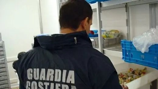 Blitz contro pesca illegale nel sud Sardegna: tonnellate di pesce sequestrato e maxi multe