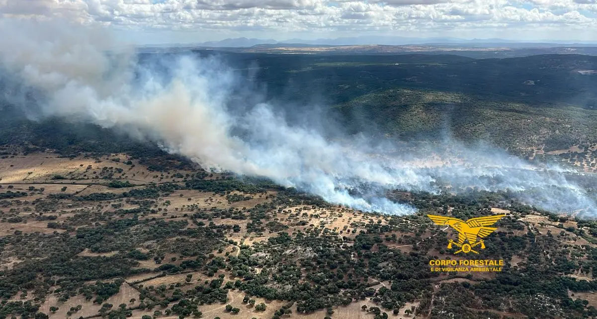 Giornata pesante sul fronte incendi in Sardegna: 22 roghi, per cinque elicotteri e Canadair