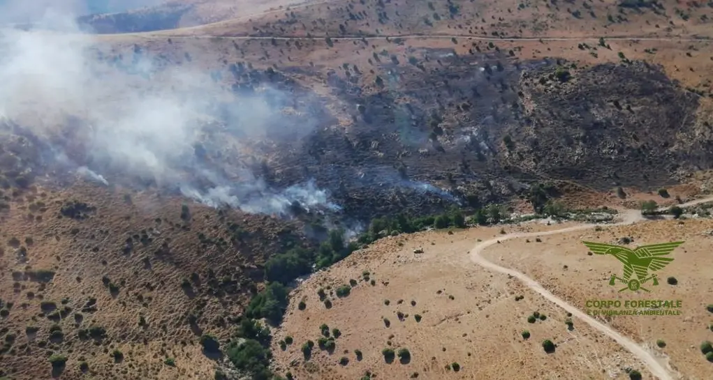 Sardegna in fiamme: 13 incendi in un solo giorno, elicotteri ad Arzana e Luras