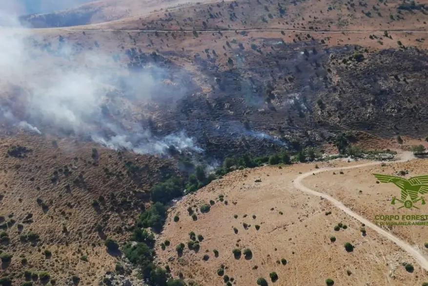 Sardegna in fiamme: 13 incendi in un solo giorno, elicotteri ad Arzana e Luras
