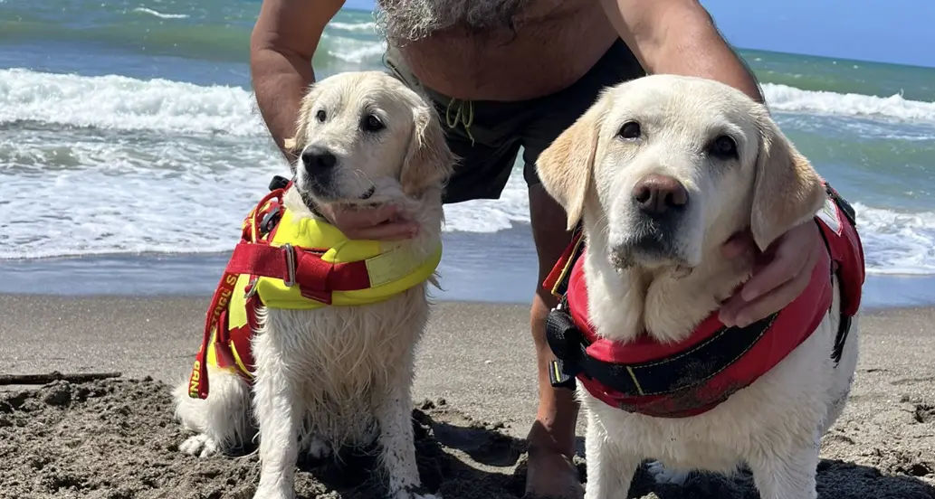 Cani eroi a Pescia Romana: Maia e Panna salvano un uomo dal mare