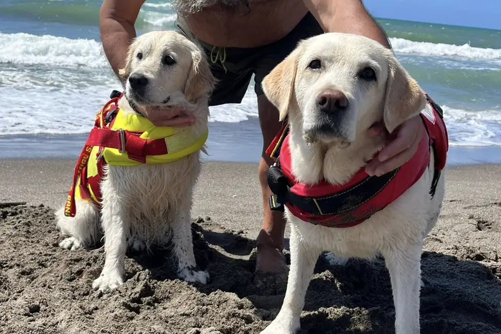 <p>Foto Facebook Scuola Italiana Cani Salvataggio - Tirreno</p>\\n