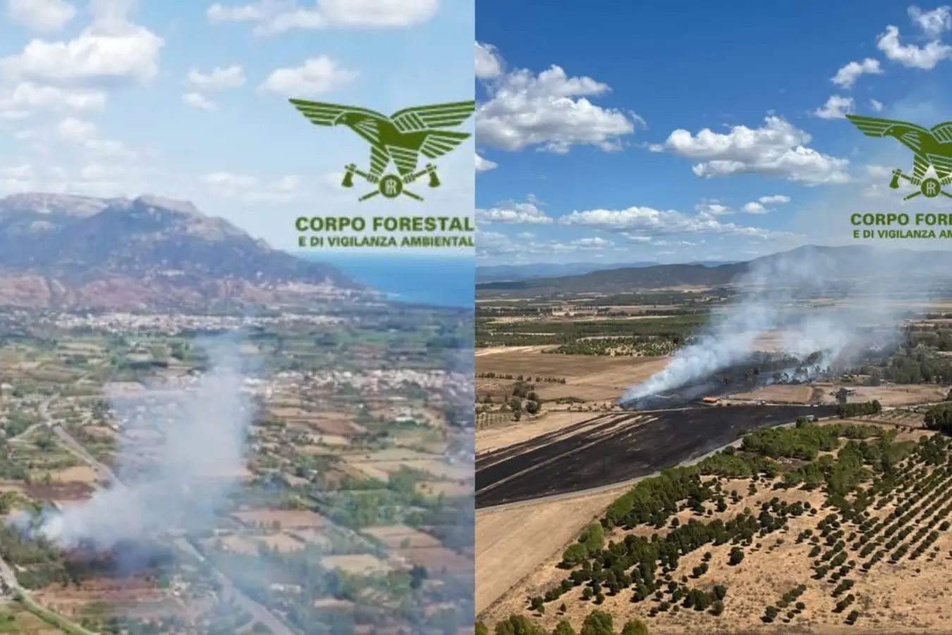 <p>Gli incendi a Girasole e Solarussa</p>\\n