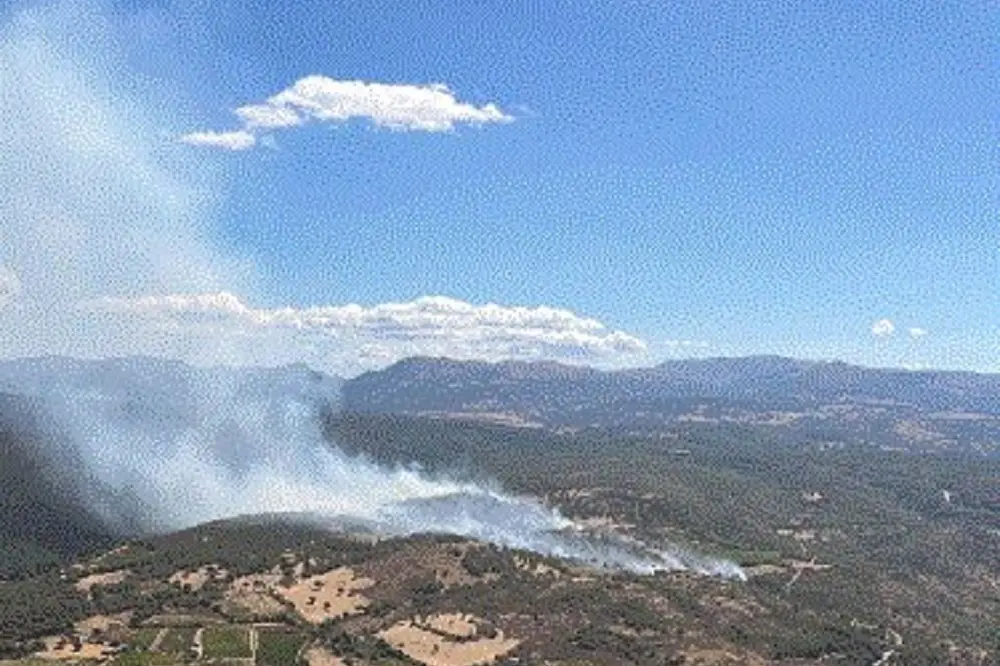 <p>Foto: incendio a Mamoiada</p>\\n