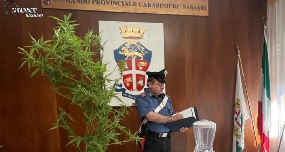 Sassari, trovato con marijuana: arrestato dai Carabinieri