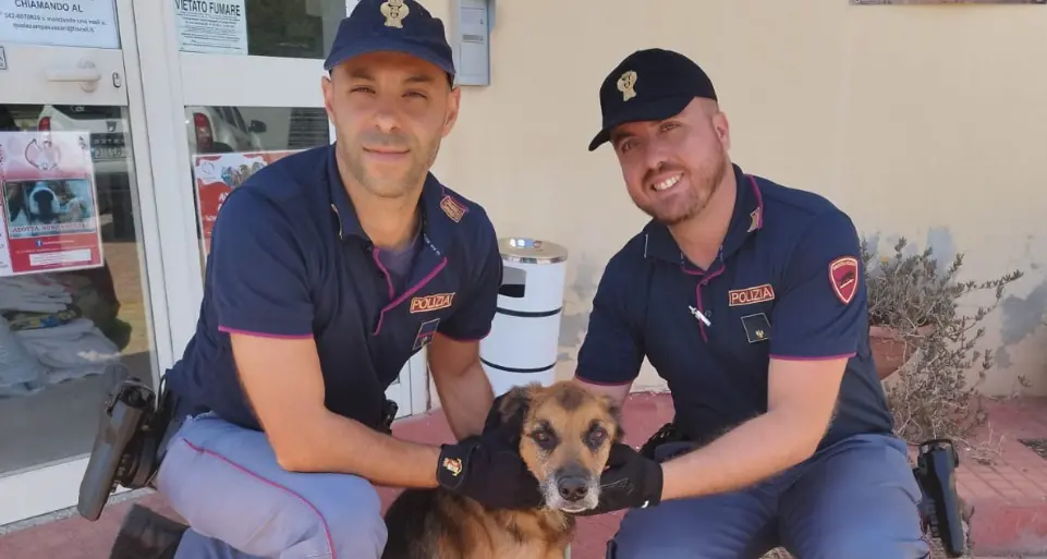 Cane abbandonato e malnutrito salvato dagli agenti di Sassari: denunciato il proprietario