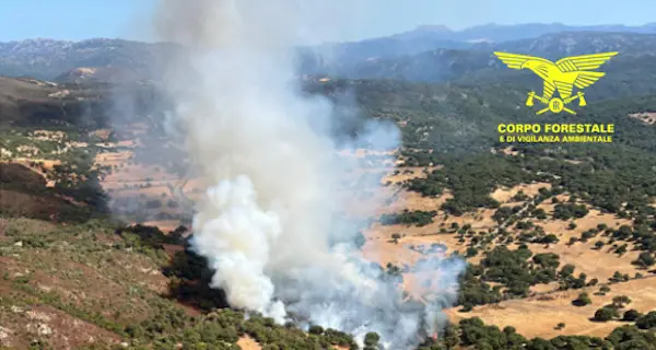 Ancora incendi in Sardegna: rogo ad Alà dei Sardi domato con tre elicotteri