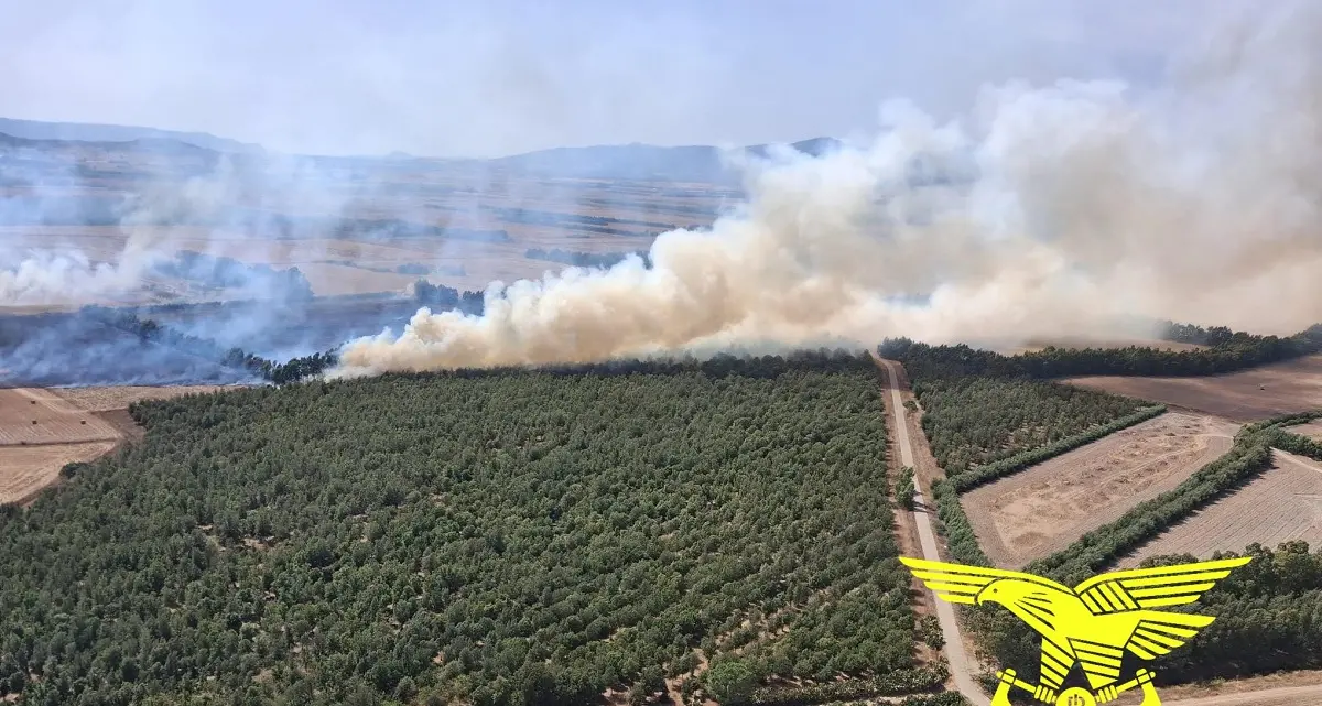 Venti incendi in Sardegna, quattro domati con l’aiuto dei mezzi aerei