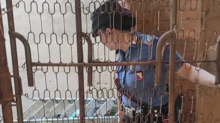 Tre cani abbandonati in un casolare a Iglesias: denunciato un 31enne