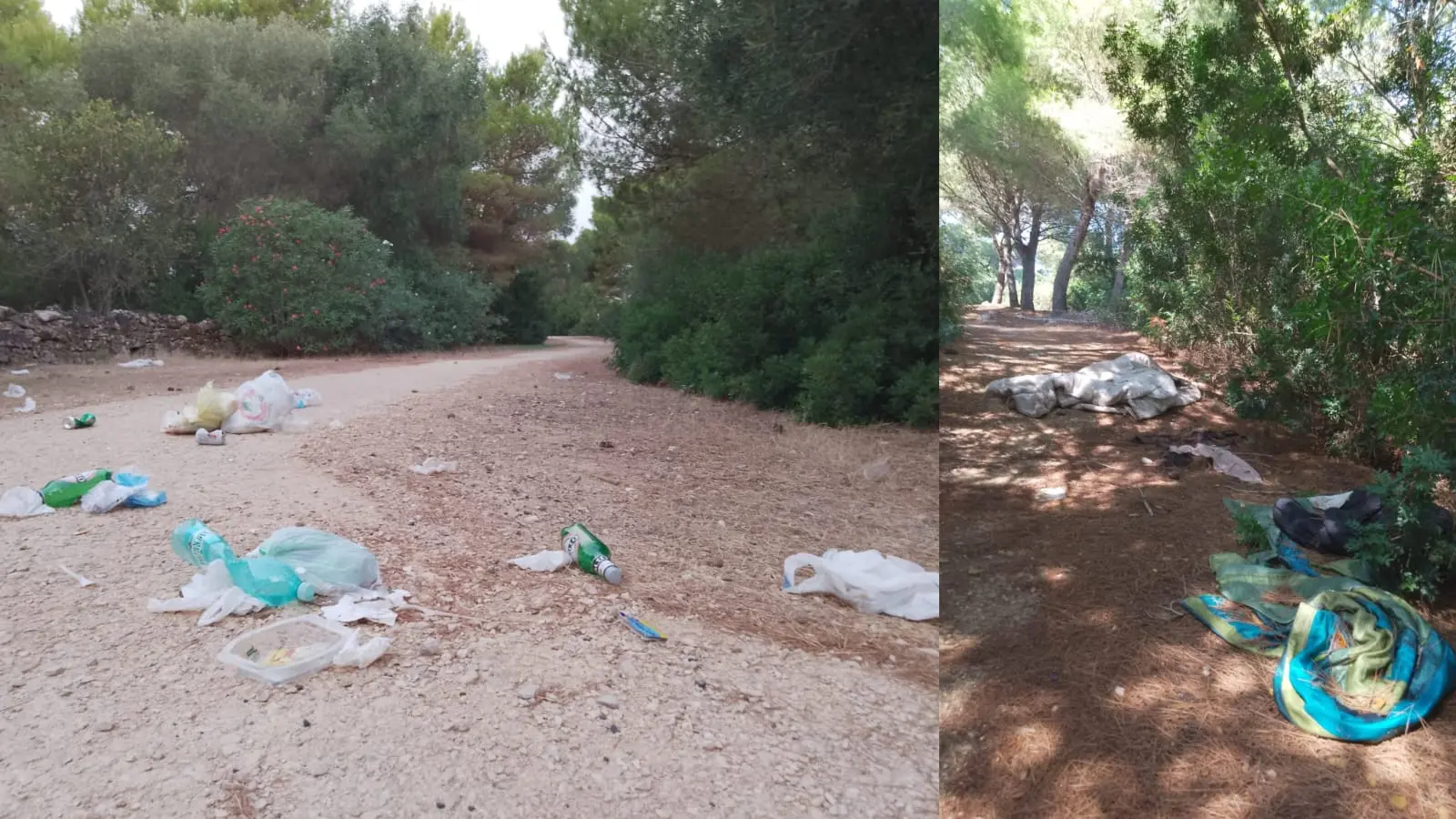 Rifiuti disseminati nella pineta di Calich: gli incivili colpiscono Alghero