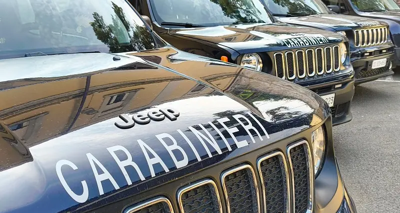Denunciato a Orotelli un veterinario per falso su 139 bovini malati di dermatite nodulare