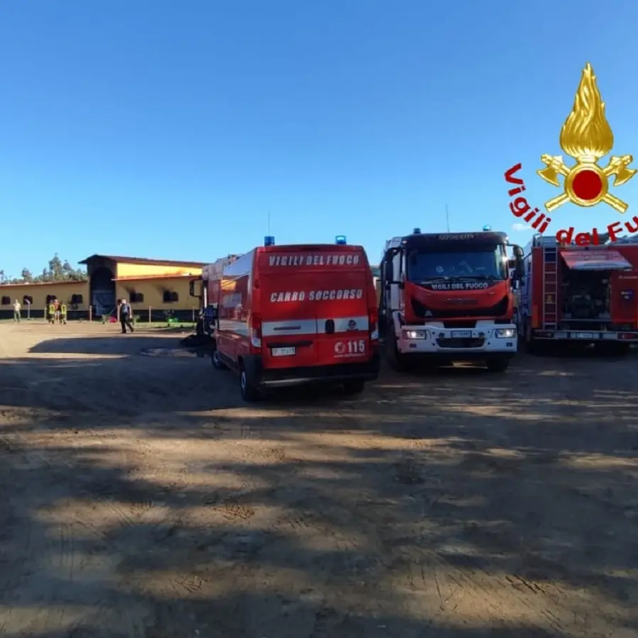 Incendio in un maneggio ad Arborea: salvati 21 cavalli, nove animali morti