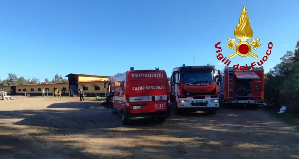 Incendio in un maneggio ad Arborea: salvati 21 cavalli, nove animali morti
