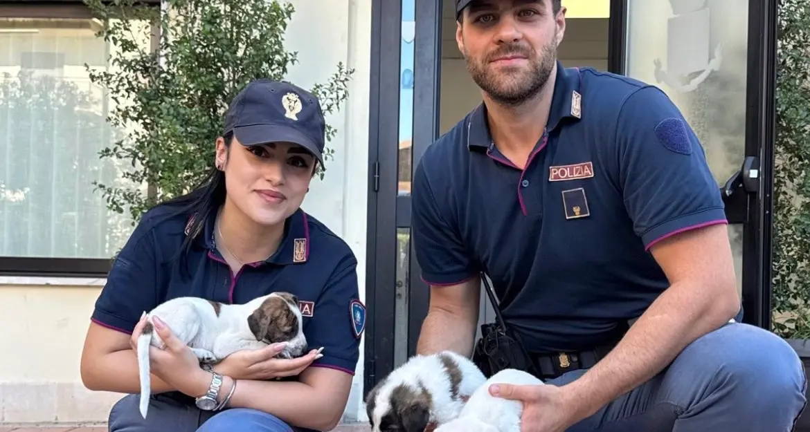 Sei cuccioli di un mese abbandonati dentro un sacco, salvati dalla Polizia di Stato
