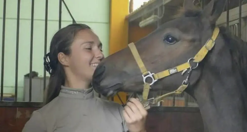 Carola, 24 anni, cade da cavallo e muore durante il lavoro: tragedia a Cossato