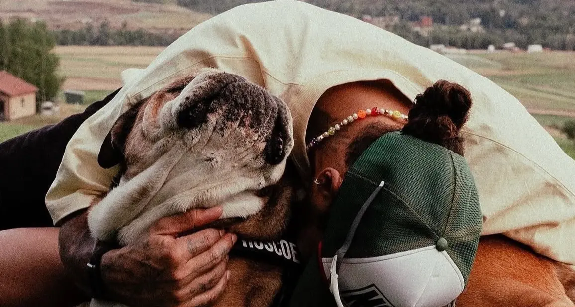 Il commovente addio di Hamilton al suo cane Roscoe, \"La decisione più difficile della mia vita\"